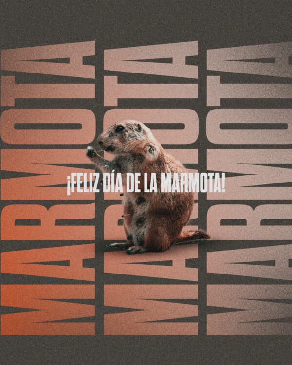 ¡Feliz Día de la Marmota!