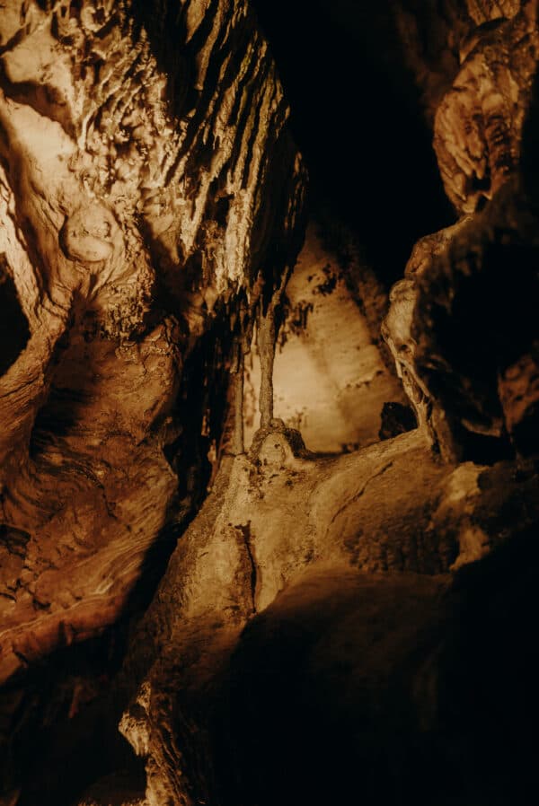 Tennessee Shoot 2