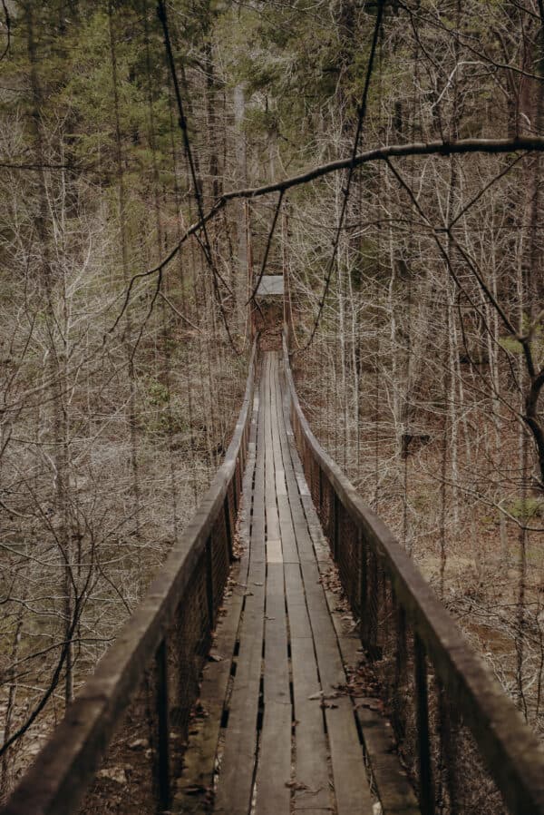 Tennessee Shoot 8