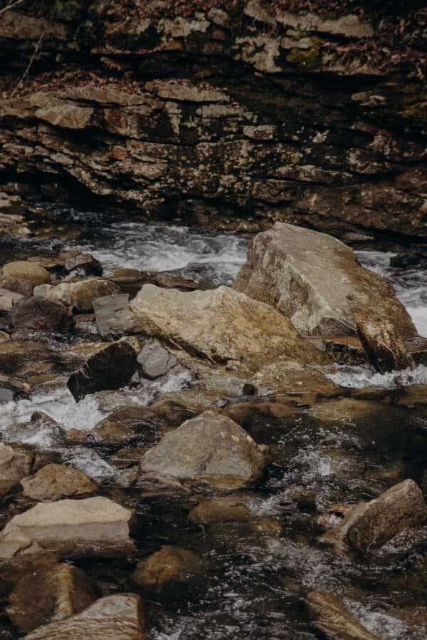 Tennessee Shoot 10