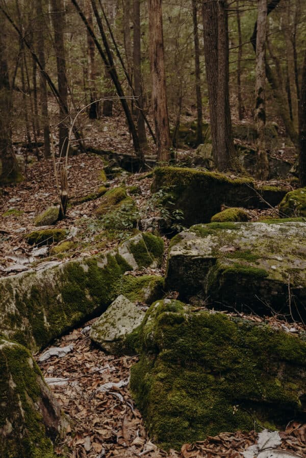 Tennessee Shoot 12