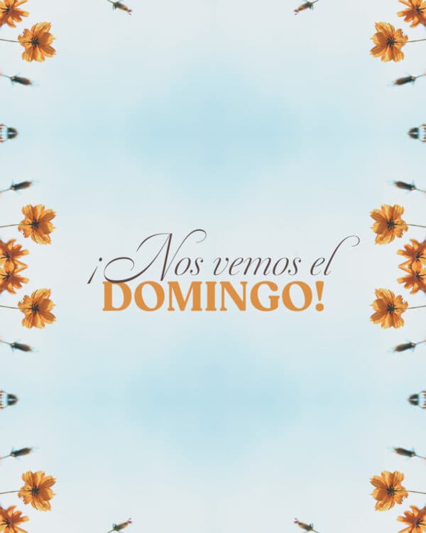 ¡Nos vemos el domingo!