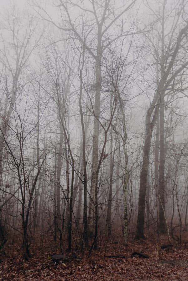 Tennessee Shoot 13