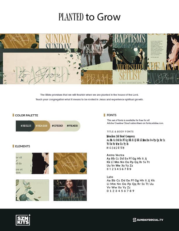 Style Guide preview