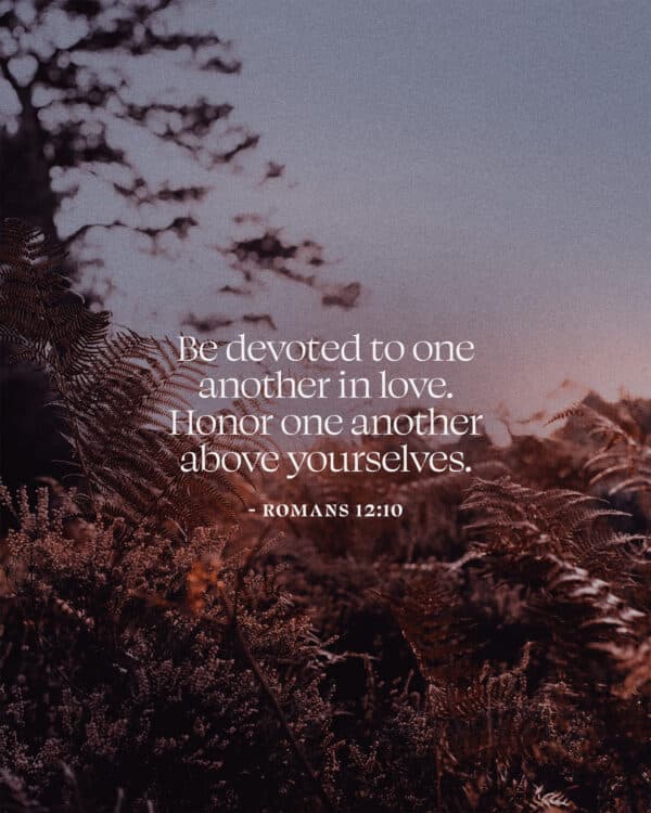 Be devoted to one another in love. Honor one another above yourselves. - Romans 12:10