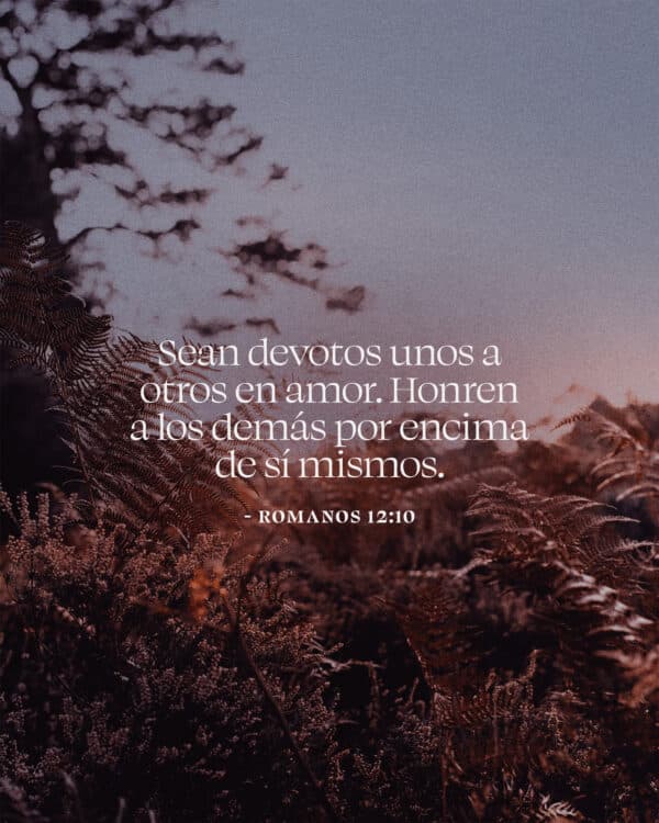 Sean devotos unos a otros en amor. Honren a los demás por encima de sí mismos. - Romanos 12:10