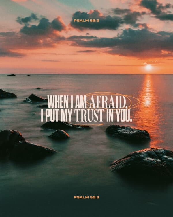 When I am afraid, I put my trust in you. - Psalm 56:3