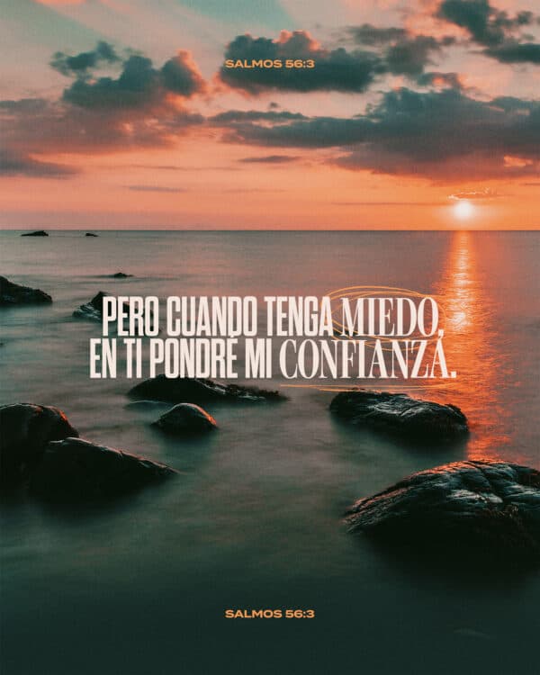 Pero cuando tenga miedo, en ti pondré mi confianza. - Salmos 56:3