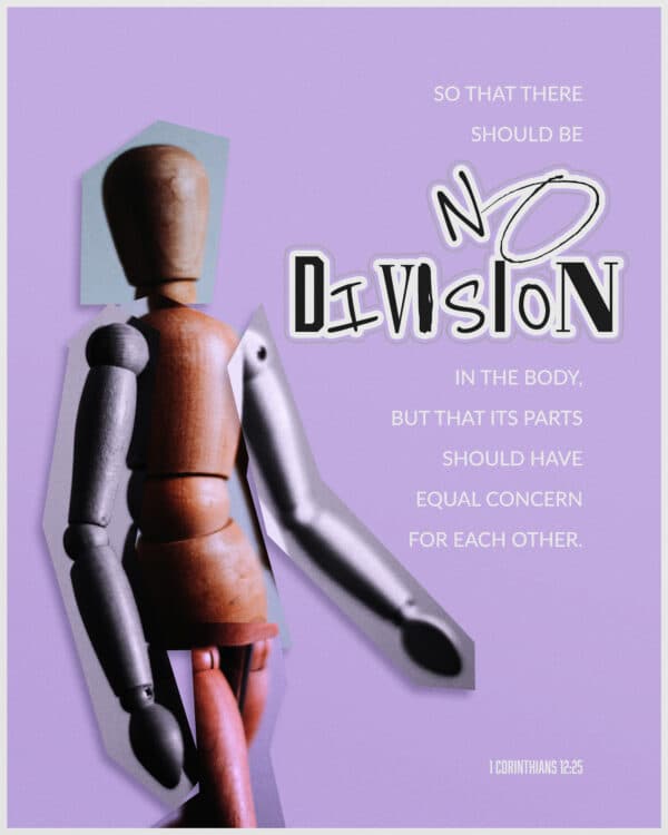 so that there should be no division in the body, but that its parts should have equal concern for each other. - 1 Corinthians 12:25