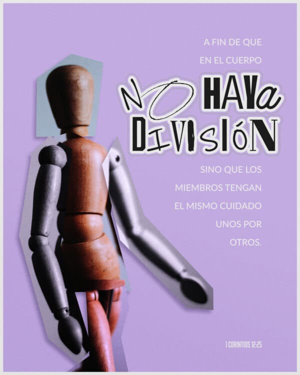 a fin de que en el cuerpo no haya división, sino que los miembros tengan el mismo cuidado unos por otros. - 1 Corintios 12:25