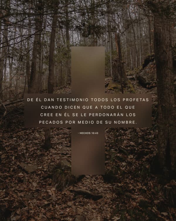 "De Él dan testimonio todos los profetas cuando dicen que a todo el que cree en Él se le perdonarán los pecados por medio de su nombre." - Hechos 10:43