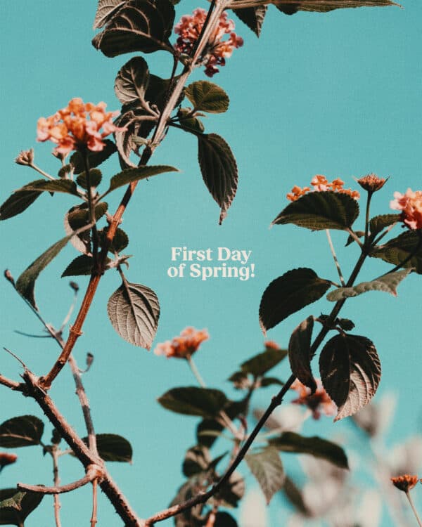 First day of spring!