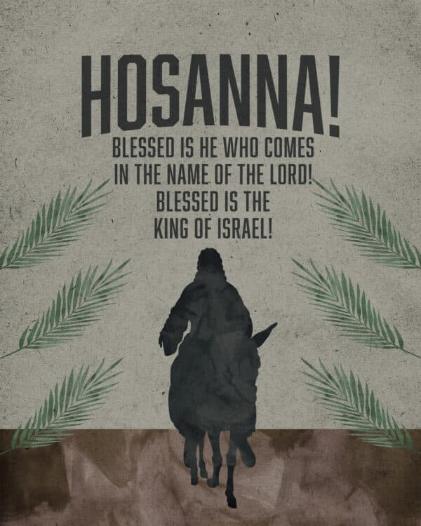 "Hosanna!" "Blessed is he who comes in the name of the Lord!" "Blessed is the king of Israel!" - John 12:13