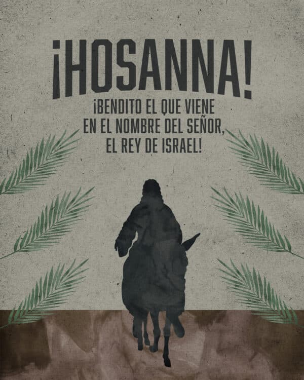 Y clamaban: «¡Hosanna! ¡Bendito el que viene en el nombre del Señor, el Rey de Israel! - Juan 12:13