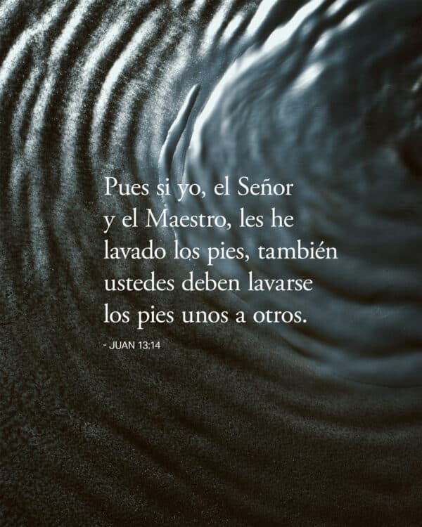 "Pues si yo, el Señor y el Maestro, les he lavado los pies, también ustedes deben lavarse los pies unos a otros." - Juan 13:14