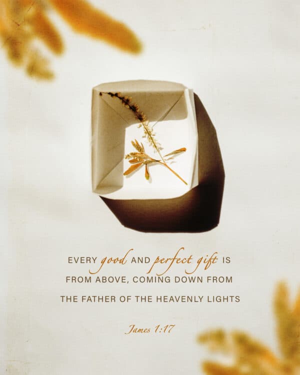 "Every good and perfect gift is from above, coming down from the Father of the heavenly lights." - James 1:17