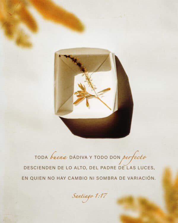 "Toda buena dádiva y todo don perfecto descienden de lo alto, del Padre de las luces, en quien no hay cambio ni sombra de variación." - Santiago 1:17