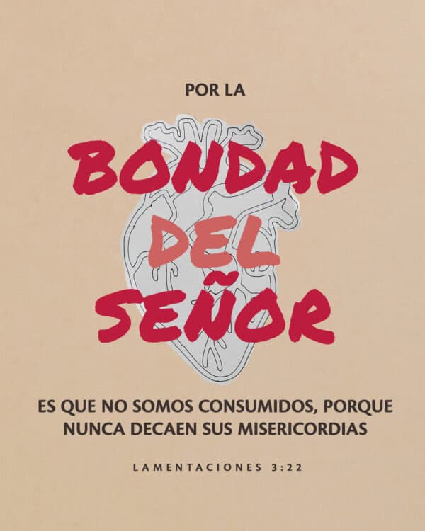 "Por la bondad del SEÑOR es que no somos consumidos, porque nunca decaen sus misericordias." - Lamentaciones 3:22
