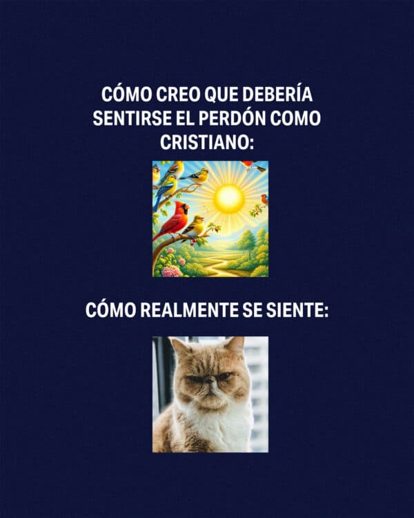 "Cómo creo que debería sentirse el perdón como cristiano: *sol brillando, pájaros cantando* Cómo realmente se siente: *cara gruñona*