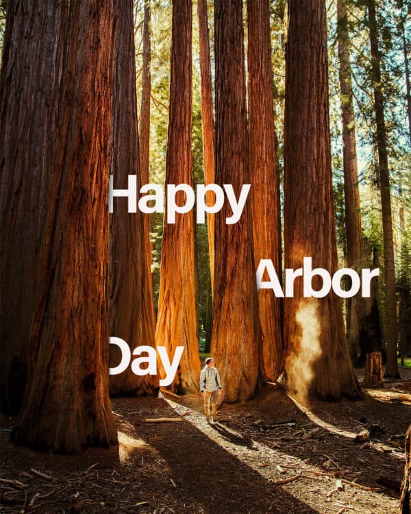Happy Arbor Day!