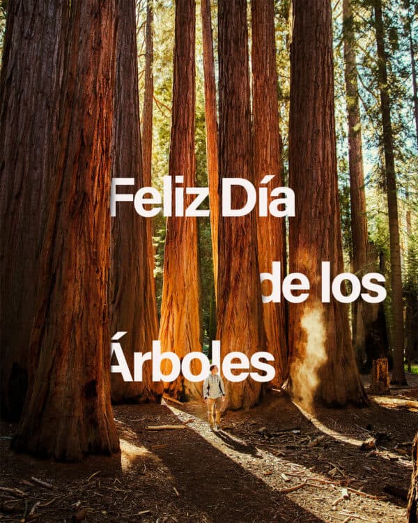 Feliz Día de los Árboles