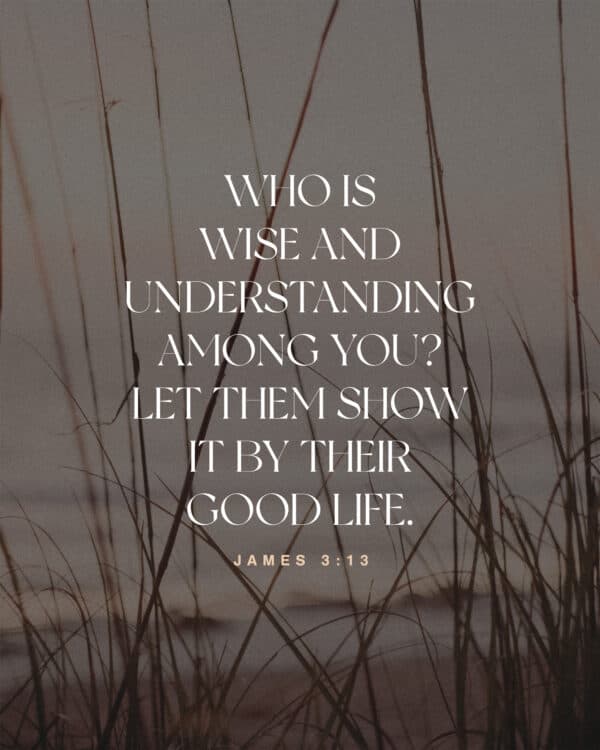 "Who is wise and understanding among you? Let them show it by their good life." - James 3:13