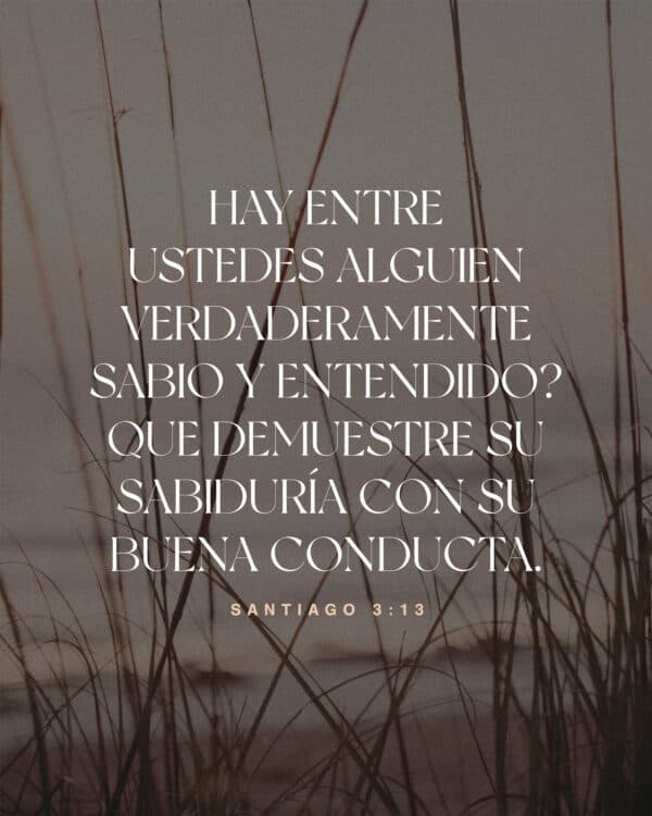 "Hay entre ustedes alguien verdaderamente sabio y entendido? Que demuestre su sabiduría con su buena conducta." - Santiago 3:13