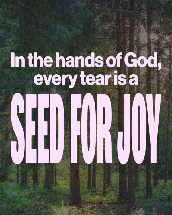 In the hands of God, every tear is a seed for joy.
