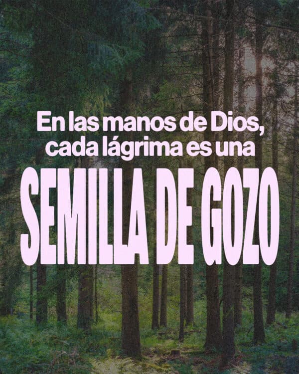 En las manos de Dios, cada lágrima es una semilla de gozo.