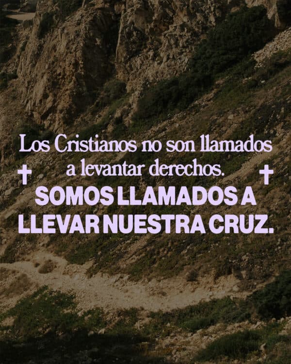 Los Cristianos no son llamados a levantar derechos. Somos llamados a llevar nuestra cruz.