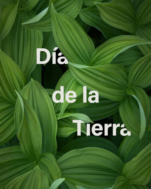 Día Del Tierra