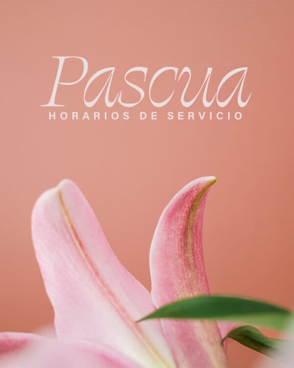 Pascua Horarios De Servicio