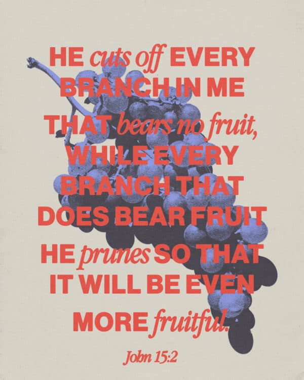 "He cuts off every branch in me that bears no fruit, while every branch that does bear fruit he prunes so that it will be even more fruitful." - John 15:2
