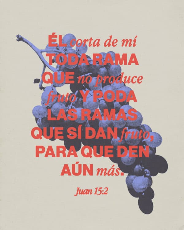 "Él corta de mí toda rama que no produce fruto y poda las ramas que sí dan fruto, para que den aún más." - ‭‭Juan‬ ‭15‬:‭2‬