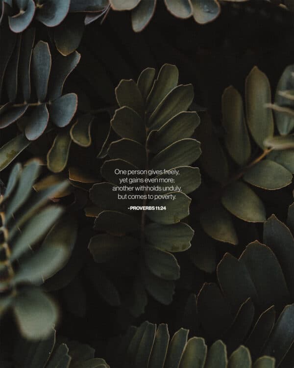"One person gives freely, yet gains even more; another withholds unduly, but comes to poverty." - Proverbs 11:24