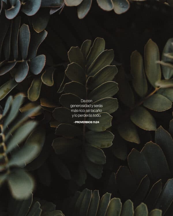 "Da con generosidad y serás más rico; sé tacaño y lo perderás todo." - ‭‭Proverbios‬ ‭11‬:‭24‬