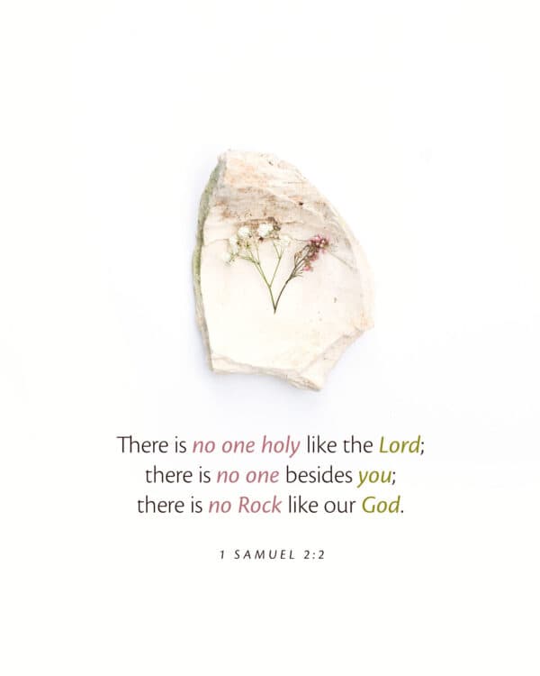 "There is no one holy like the Lord; there is no one besides you; there is no Rock like our God." - 1 Samuel 2:2