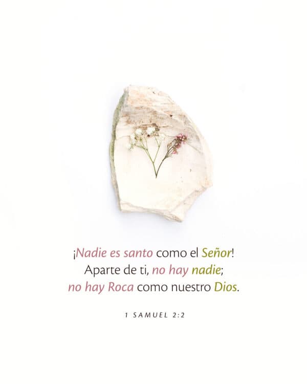 "¡Nadie es santo como el Señor! Aparte de ti, no hay nadie; no hay Roca como nuestro Dios." - ‭‭1 Samuel‬ ‭2‬:‭2‬