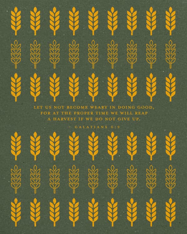 "Let us not become weary in doing good, for at the proper time we will reap a harvest if we do not give up." - Galatians 6:9
