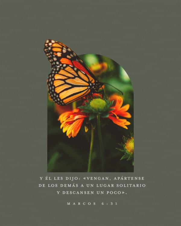 Y Él les dijo: «Vengan, apártense de los demás a un lugar solitario y descansen un poco»." -  Marcos 6:31