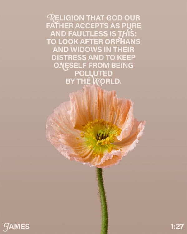 "Religion that God our Father accepts as pure and faultless is this: to look after orphans and widows in their distress and to keep oneself from being polluted by the world." - James 1:27