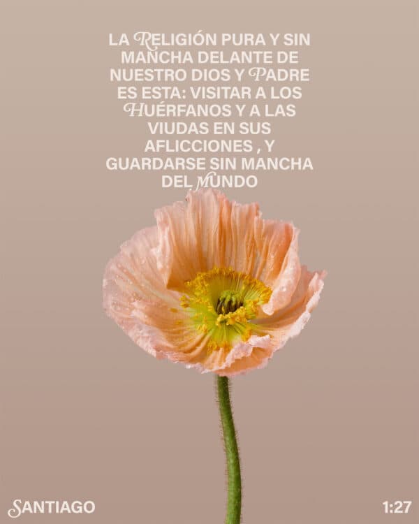 "La religión pura y sin mancha delante de nuestro Dios y Padre es esta: visitar a los huérfanos y a las viudas en sus aflicciones, y guardarse sin mancha del mundo." - Santiago 1:27