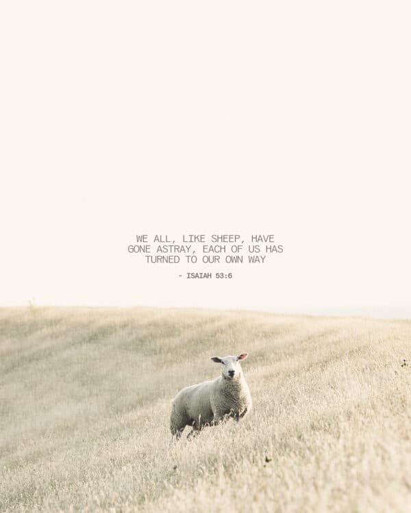 "We all, like sheep, have gone astray, each of us has turned to our own way." - Isaiah 53:6