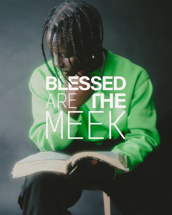 Blessed are the meek