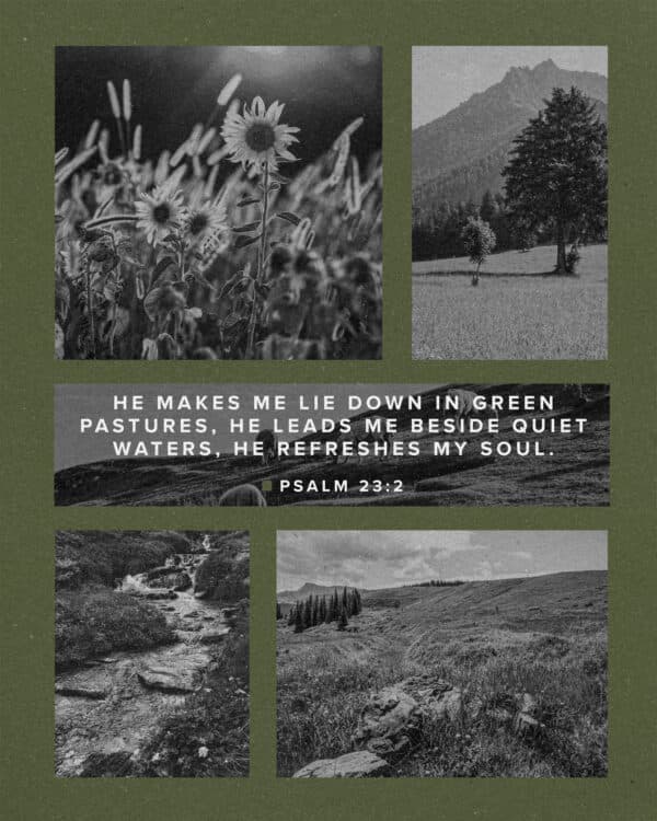 He makes me lie down in green pastures, he leads me beside quiet waters, he refreshes my soul. - Psalm 23:2