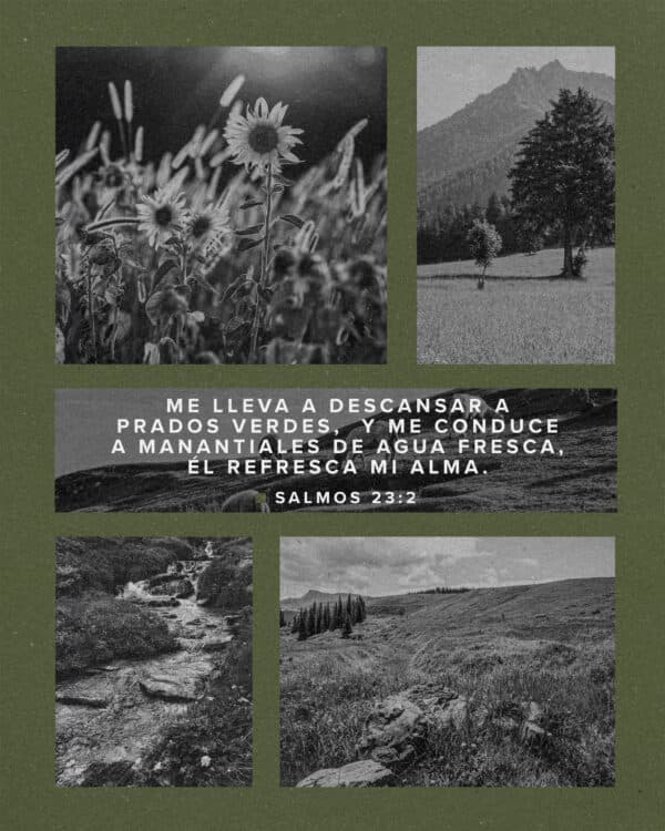 Me lleva a descansar a prados verdes,  y me conduce a manantiales de agua fresca, Él refresca mi alma. Salmos 23:2