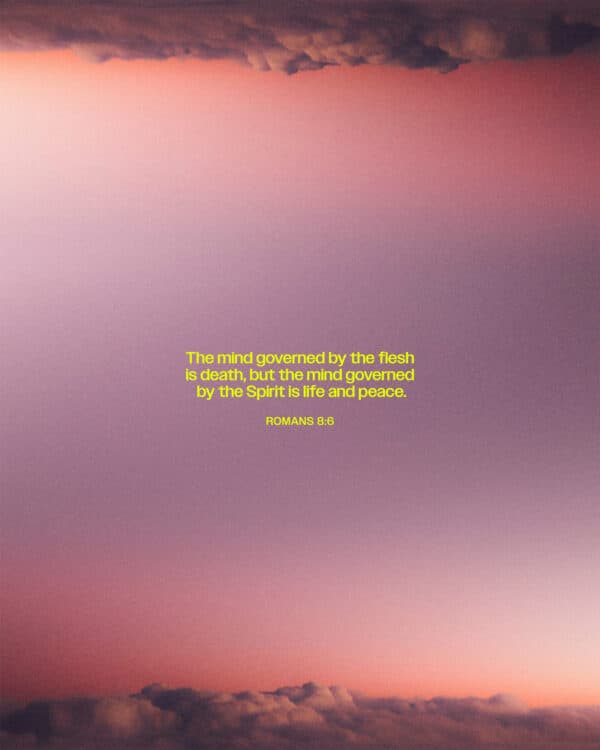 "The mind governed by the flesh is death, but the mind governed by the Spirit is life and peace." - Romans 8:6