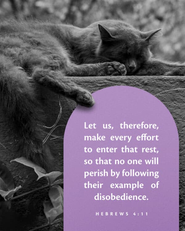 "Let us, therefore, make every effort to enter that rest, so that no one will perish by following their example of disobedience." - Hebrews 4:11