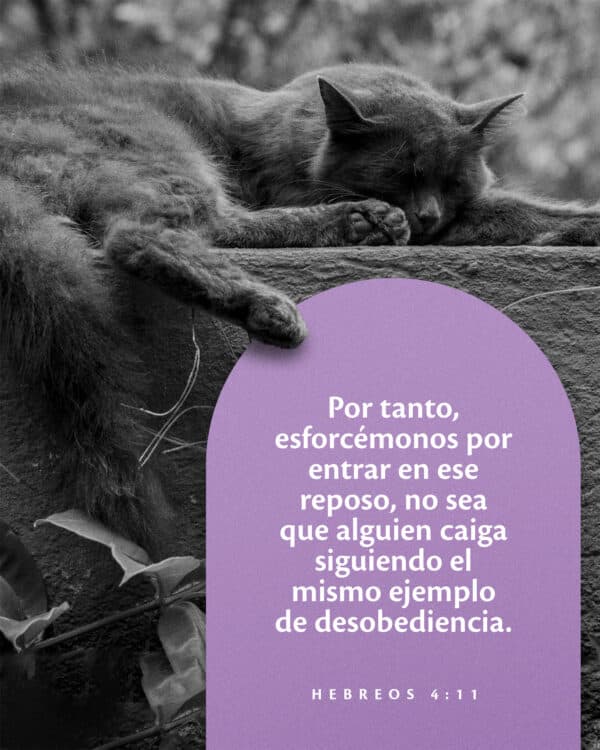 "Por tanto, esforcémonos por entrar en ese reposo, no sea que alguien caiga siguiendo el mismo ejemplo de desobediencia." - Hebreos 4:11