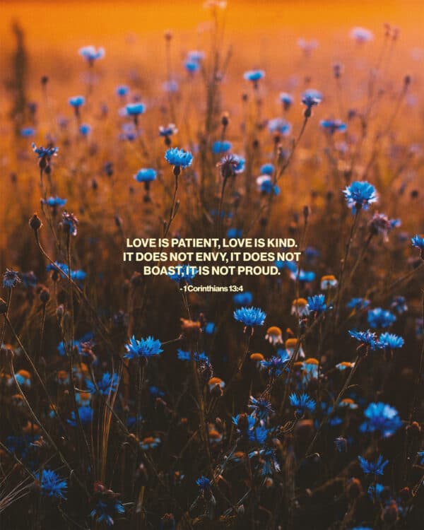 Love is patient, love is kind. It does not envy, it does not boast, it is not proud. - 1 Corinthians 13:4